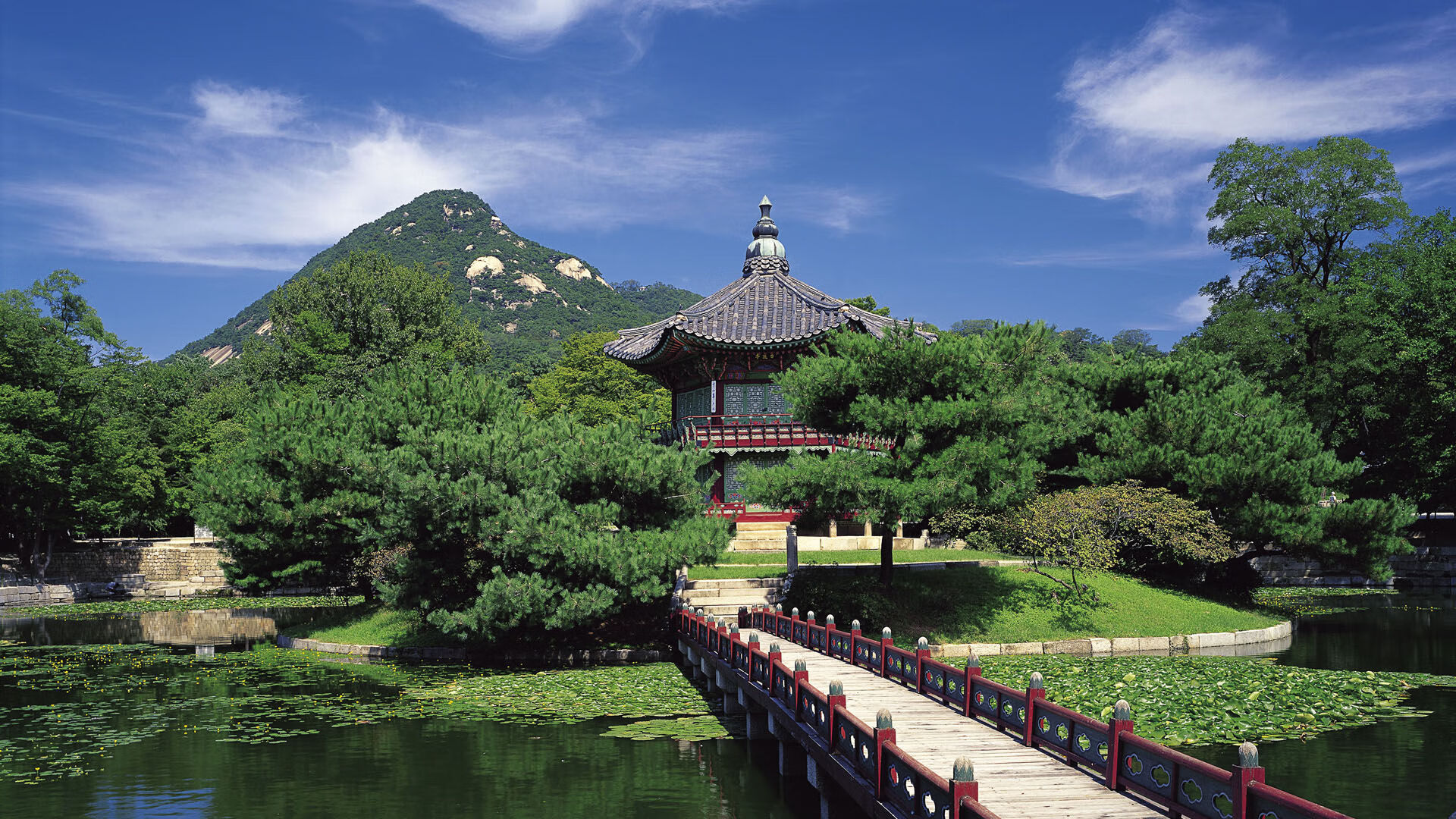 熊猫直播-社交平台数据报告显示年轻群体对联赛关注度持续上升，年轻群体占比